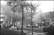 1959naderi_street.jpg